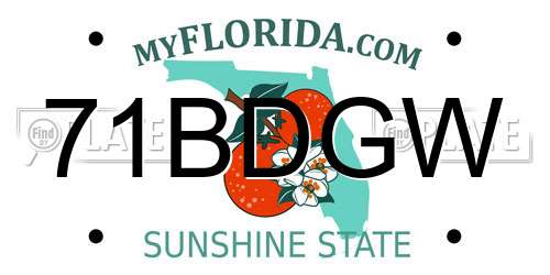 71BDGW Florida License Plate