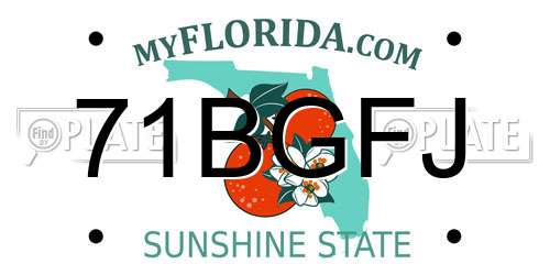 71BGFJ Florida License Plate