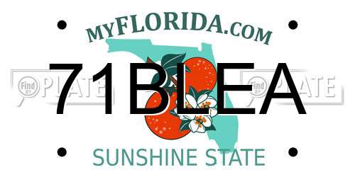 71BLEA Florida License Plate