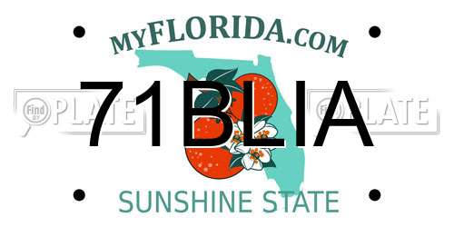 71BLIA Florida License Plate