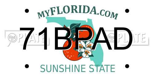 71BPAD Florida License Plate