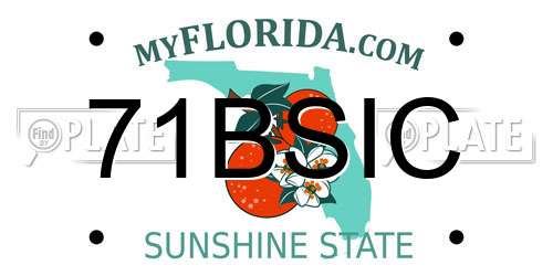 71BSIC Florida License Plate
