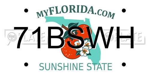 71BSWH Florida License Plate