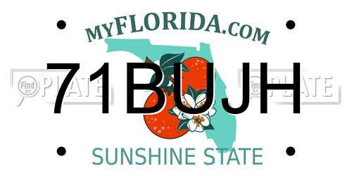 71BUJH Florida License Plate