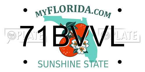 71BVVL Florida License Plate