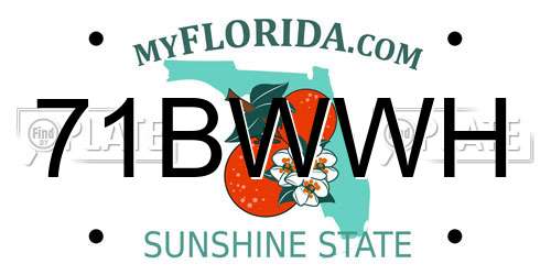 71BWWH Florida License Plate