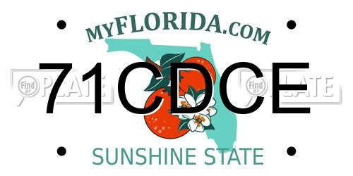 71CDCE Florida License Plate