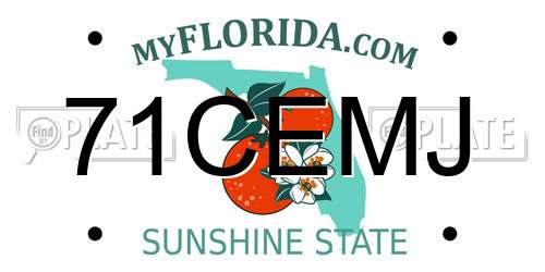 71CEMJ Florida License Plate