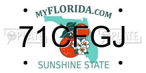 71CFGJ Florida License Plate
