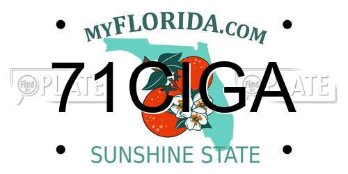 71CIGA Florida License Plate