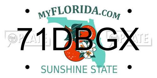 71DBGX Florida License Plate