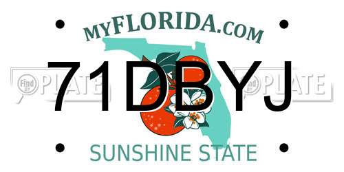71DBYJ Florida License Plate