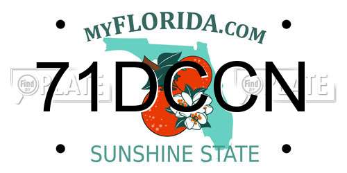 71DCCN Florida License Plate