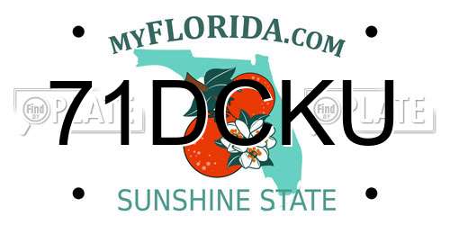 71DCKU Florida License Plate