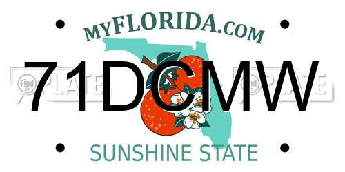 71DCMW Florida License Plate