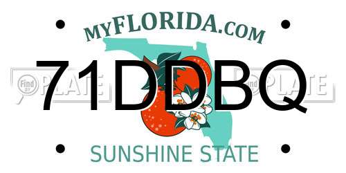 71DDBQ Florida License Plate