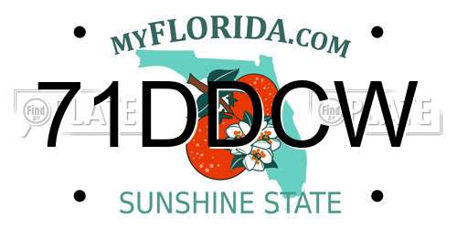 71DDCW Florida License Plate
