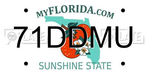 71DDMU Florida License Plate