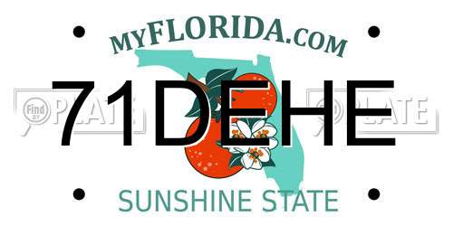 71DEHE Florida License Plate