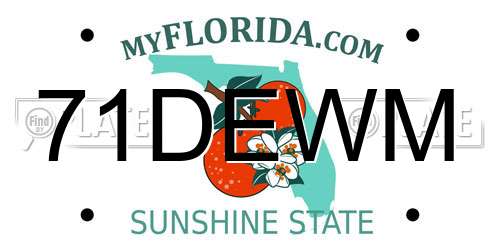 71DEWM Florida License Plate
