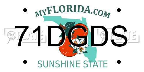 71DGDS Florida License Plate