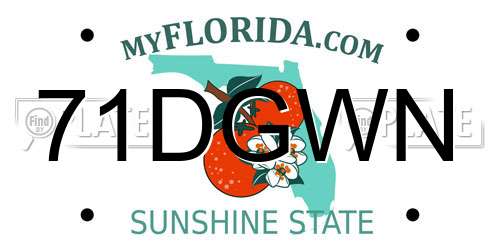 71DGWN Florida License Plate