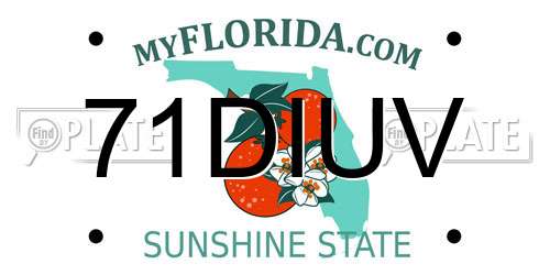 71DIUV Florida License Plate