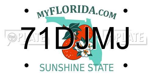 71DJMJ Florida License Plate