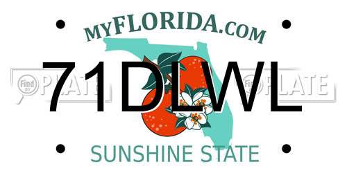 71DLWL Florida License Plate