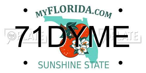 71DYME Florida License Plate