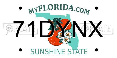 71DYNX Florida License Plate