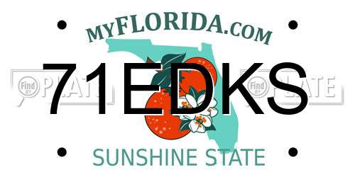 71EDKS Florida License Plate