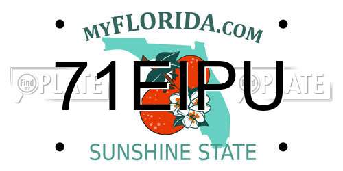 71EIPU Florida License Plate