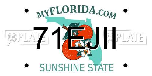 71EJII Florida License Plate