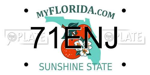71ENJ Florida License Plate