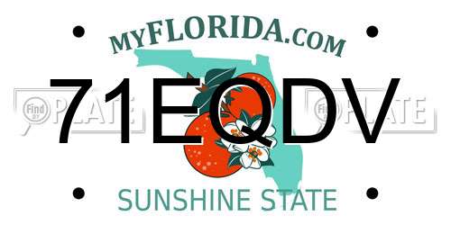 71EQDV Florida License Plate