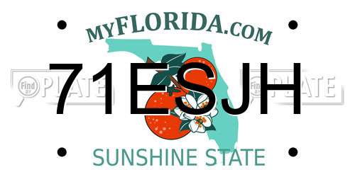 71ESJH Florida License Plate