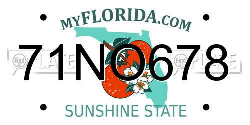 71NO678 Florida License Plate