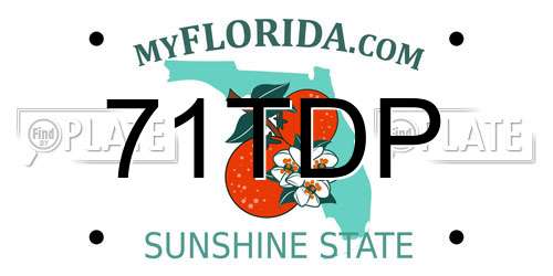 71TDP Florida License Plate