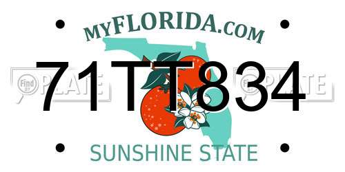 71TT834 Florida License Plate