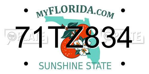 71TZ834 Florida License Plate