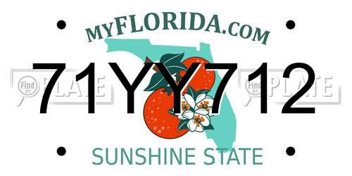 71YY712 Florida License Plate