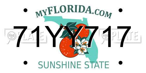 71YY717 Florida License Plate