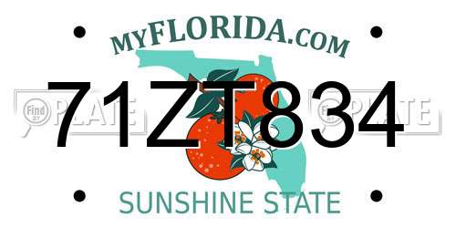 71ZT834 Florida License Plate