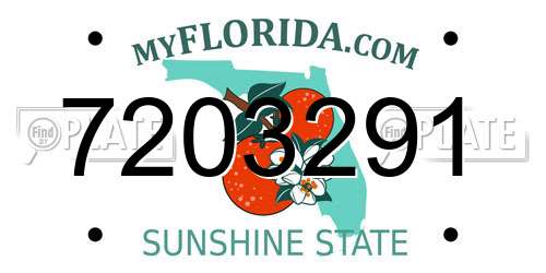 7203291 Florida License Plate