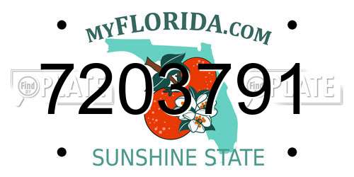 7203791 Florida License Plate