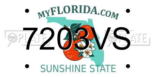 7203VS Florida License Plate