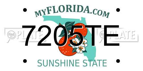 7205TE Florida License Plate