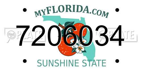 7206034 Florida License Plate