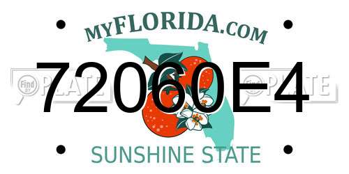 72060E4 Florida License Plate